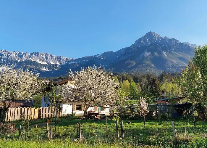 Frieda Apartamento *